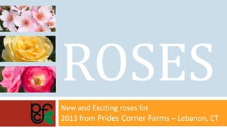 ROSES
New and Exciting roses for
2013 from Prides Corner Farms – Lebanon, CT
 