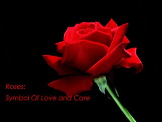 Roses:
Symbol Of Love and Care
 