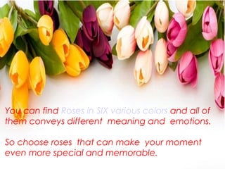 Roses the symbol of love and care | PPT