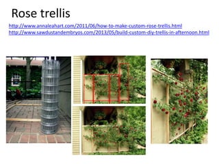 Rose trellis
http://www.annaleahart.com/2011/06/how-to-make-custom-rose-trellis.html
http://www.sawdustandembryos.com/2013/05/build-custom-diy-trellis-in-afternoon.html

 
