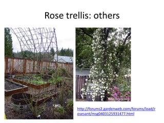 Rose trellis: others

http://forums2.gardenweb.com/forums/load/r
osesant/msg0403125931477.html

 