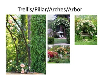 Trellis/Pillar/Arches/Arbor

 