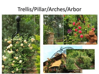 Trellis/Pillar/Arches/Arbor

 