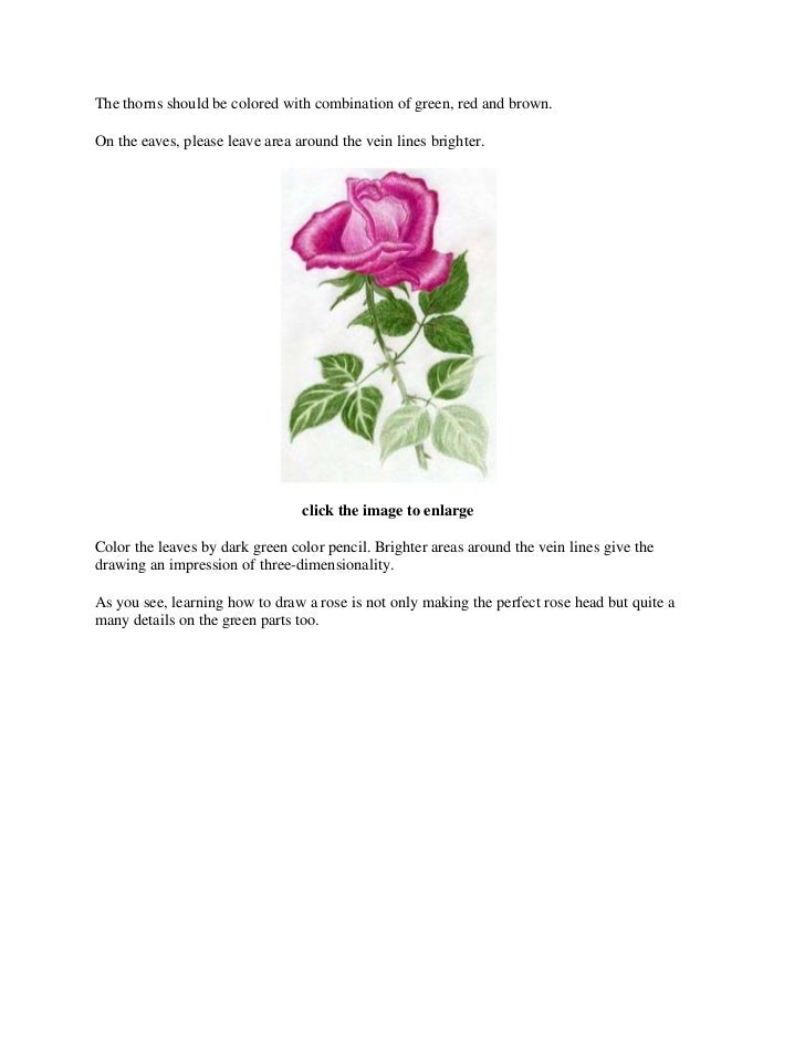 rose tutorial