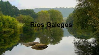 Ríos Galegos

 