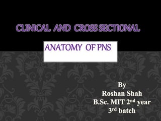 CLINICAL AND CROSS SECTIONAL
ANATOMY OF PNS
 