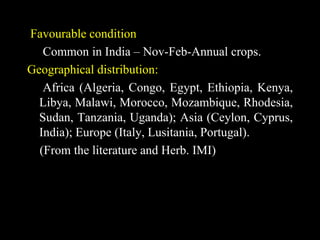 Favourable condition
Common in India – Nov-Feb-Annual crops.
Geographical distribution:
Africa (Algeria, Congo, Egypt, Ethiopia, Kenya,
Libya, Malawi, Morocco, Mozambique, Rhodesia,
Sudan, Tanzania, Uganda); Asia (Ceylon, Cyprus,
India); Europe (Italy, Lusitania, Portugal).
(From the literature and Herb. IMI)
 