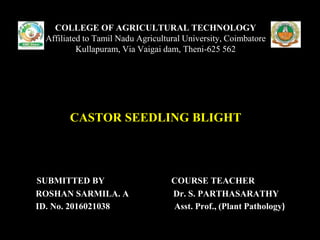SUBMITTED BY COURSE TEACHER
ROSHAN SARMILA. A Dr. S. PARTHASARATHY
ID. No. 2016021038 Asst. Prof., (Plant Pathology)
COLLEGE OF AGRICULTURAL TECHNOLOGY
Affiliated to Tamil Nadu Agricultural University, Coimbatore
Kullapuram, Via Vaigai dam, Theni-625 562
CASTOR SEEDLING BLIGHT
 