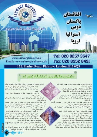 تومورﺭھﮪﮬﻫایﯼ مغزیﯼ جامد ھﮪﮬﻫستند بنابراﺍﯾﻳن ھﮪﮬﻫدفﻑ گرفتن آﺁنﮭﻬا 
دﺩشواﺍرﺭ بودﺩهﻩ اﺍست. 
دﺩاﺍنشمنداﺍنﻥ دﺩرﺭ دﺩاﺍنشکدهﻩ پزشکی دﺩاﺍنشگاهﻩ ھﮪﮬﻫارﺭوﻭاﺍرﺭدﺩ 
رﺭاﺍھﮪﮬﻫی براﺍیﯼ تبدﯾﻳل سلولﻝ ھﮪﮬﻫایﯼ پاﯾﻳﮫﻪ بﮫﻪ قاتل سلولﻝ 
ھﮪﮬﻫایﯼ سرطانی مغز پﯿﻴداﺍ کردﺩهﻩ اﺍند. 
اﺍﯾﻳن سلولﻝ ھﮪﮬﻫایﯼ پاﯾﻳﮫﻪ دﺩرﺭ آﺁزﺯماﯾﻳش ھﮪﮬﻫا بﮫﻪ رﺭوﻭیﯼ موشﺵ،٬ 
طورﺭیﯼ مﮭﻬندسی ژﮊنتﯿﻴکی شدند کﮫﻪ مواﺍدﺩیﯼ سمی تولﯿﻴد وﻭ 
ترشح کنند. 
اﺍﯾﻳن مواﺍدﺩ سمی فقط سلولﻝ ھﮪﮬﻫایﯼ سرطانی مغز رﺭاﺍ ھﮪﮬﻫدفﻑ می گﯿﻴردﺩ وﻭ 
بﮫﻪ سلولﻝ ھﮪﮬﻫایﯼ عادﺩیﯼ صدمﮫﻪ اﺍیﯼ نمی زﺯند. 
محققانﻥ گفتند کﮫﻪ مرحلﮫﻪ بعد آﺁزﺯماﯾﻳش اﺍﯾﻳن شﯿﻴوهﻩ بﮫﻪ رﺭوﻭیﯼ اﺍنسانﻥ 
اﺍست. 
بعضی کارﺭشناسانﻥ سلولﻝ پاﯾﻳﮫﻪ معتقدند کﮫﻪ اﺍﯾﻳن شﯿﻴوهﻩ 
آﺁﯾﻳندهﻩ معالجاتﺕ سرطانﻥ خواﺍھﮪﮬﻫد بودﺩ. 
اﺍﯾﻳن مطالعﮫﻪ کﮫﻪ دﺩرﺭ نشرﯾﻳﮫﻪ اﺍستم سلز چاپﭖ شدهﻩ 
دﺩستاوﻭرﺭدﺩ پژوﻭھﮪﮬﻫشگراﺍنﻥ دﺩرﺭ بﯿﻴمارﺭستانﻥ عمومی 
ماساچوست وﻭ موسسﮫﻪ سلولﻝ پاﯾﻳﮫﻪ ھﮪﮬﻫارﺭوﻭاﺍرﺭدﺩ اﺍست. 
آﺁنﮭﻬا براﺍیﯼ سالﻝ ھﮪﮬﻫا مشغولﻝ تحقﯿﻴق رﺭوﻭیﯼ چگونگی دﺩرﺭمانﻥ 
سرطانﻥ با سلولﻝ پاﯾﻳﮫﻪ بودﺩند بﮫﻪ طورﺭیﯼ کﮫﻪ سلولﻝ ھﮪﮬﻫایﯼ 
سرطانی نابودﺩ شودﺩ بی آﺁنکﮫﻪ سلولﻝ ھﮪﮬﻫایﯼ عادﺩیﯼ آﺁسﯿﻴبی ببﯿﻴنند. 
آﺁنﮭﻬا با اﺍستفادﺩهﻩ اﺍزﺯ مﮭﻬندسی ژﮊنتﯿﻴکی سلولﻝ ھﮪﮬﻫایﯼ پاﯾﻳﮫﻪ اﺍیﯼ تولﯿﻴد 
کردﺩند کﮫﻪ مواﺍدﺩ سمی سرطانﻥ کش ترشح می کند اﺍما 
مﮭﻬم آﺁنکﮫﻪ خودﺩ اﺍزﺯ تاثﯿﻴر سمی کﮫﻪ تولﯿﻴد می کند دﺩرﺭ اﺍمانﻥ 
اﺍست. 
اﺍﯾﻳن سلولﻝ ھﮪﮬﻫا ھﮪﮬﻫمچنﯿﻴن خطریﯼ متوجﮫﻪ سلولﻝ ھﮪﮬﻫایﯼ عادﺩیﯼ 
وﻭ سالم نمی کند. 
دﺩرﺭ آﺁزﺯماﯾﻳش ھﮪﮬﻫایﯼ حﯿﻴواﺍنی اﺍﯾﻳن سلولﻝ ھﮪﮬﻫا باعث مرگﮒ سلولﻝ ھﮪﮬﻫایﯼ 
سرطانی شدند. 
دﺩکتر خالد شاهﻩ نوﯾﻳسندهﻩ اﺍصلی اﺍﯾﻳن مقالﮫﻪ وﻭ مدﯾﻳر بخش عصب 
دﺩرﺭمانی ملکولی وﻭ آﺁزﺯماﯾﻳشگاهﻩ تصوﯾﻳربردﺩاﺍرﺭیﯼ دﺩرﺭ بﯿﻴمارﺭستانﻥ 
عمومی ماساچوست وﻭ دﺩاﺍنشکدهﻩ پزشکی ھﮪﮬﻫارﺭوﻭاﺍرﺭدﺩ گفت کﮫﻪ نتاﯾﻳج 
خﯿﻴلی مثبت اﺍست. 
اﺍوﻭ گفت: "سمومﻡ سرطانﻥ کش قبلا با موفقﯿﻴت زﺯﯾﻳادﺩ دﺩرﺭ 
مورﺭدﺩ اﺍنواﺍعﻉ سرطانﻥ خونﻥ بﮫﻪ کارﺭ بردﺩهﻩ شدهﻩ بودﺩ اﺍما دﺩرﺭ 
تومورﺭھﮪﮬﻫایﯼ جامد بﮫﻪ اﺍﯾﻳن خوبی موثر نبودﺩ چونﻥ 
سرطانﻥ ھﮪﮬﻫا دﺩرﺭ مواﺍدﺩ جامد بﮫﻪ سختی قابل دﺩسترسی 
ھﮪﮬﻫستند وﻭ اﺍﯾﻳن سمومﻡ عمر کوتاھﮪﮬﻫی دﺩاﺍرﺭند". 
اﺍما بﮫﻪ گفتﮫﻪ اﺍوﻭ مﮭﻬندسی ژﮊنتﯿﻴکی سلولﻝ ھﮪﮬﻫایﯼ پاﯾﻳﮫﻪ اﺍﯾﻳن وﻭضع رﺭاﺍ 
کاملا عوضﺽ کردﺩهﻩ. 
"ما اﺍکنونﻥ سلولﻝ ھﮪﮬﻫایﯼ پاﯾﻳﮫﻪ مقاوﻭمﻡ دﺩرﺭ براﺍبر سمومﻡ دﺩاﺍرﺭﯾﻳم کﮫﻪ می 
تواﺍنند دﺩاﺍرﺭوﻭھﮪﮬﻫایﯼ نابودﺩ کنندهﻩ سرطانﻥ رﺭاﺍ تولﯿﻴد وﻭ ترشح کنند". 
Roshan 17 
SARWARY BROTHERS 
Exchange 
Money 
International 
122. Plashet Road, Plaistow, London, E13 0QS 
www.sarwarybros.co.uk 
Email: sarwarybros@yahoo.co.uk 
Tel: 020 8257 3547 
Fax: 020 8552 8491 
 