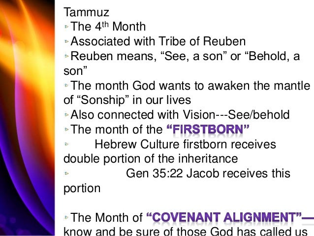 Image result for month of tammuz images