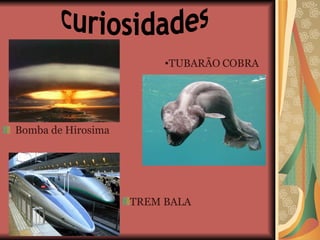 Bomba de Hirosima curiosidades TUBARÃO   COBRA TREM BALA 