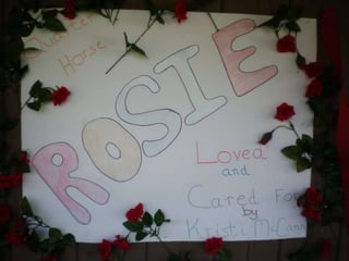 Rosie...Our Journey