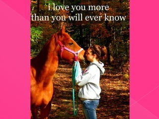 Rosie...Our Journey