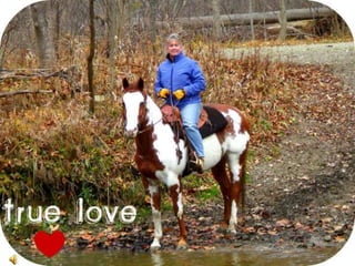 Rosie...Our Journey