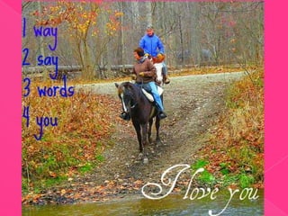 Rosie...Our Journey