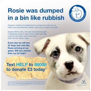 Text HELP to 88008
to donate £3 today*
Trapped, terrified and desperate for someone to hear her cry,
Rosie was discarded like rubbish. She had no hope of survival.
Against all the odds, she was heard and brought
to Battersea Dogs & Cats Home, where she was
cared for and given what must have
been her first meal in days.
Every day we will see
22 dogs and cats like
Rosie arriving at our
gates. Will you answer
their cry for help?
*You will be charged £3 plus one message at your standard network rate. Please ensure you have the bill payer’s
permission. Battersea Dogs & Cats Home will receive 100% of your donation. By using this service, you agree
that we may contact you about your gift, our work and its impact by phone or text in the future. If you’d rather
we didn’t, text OPTOUT to 70111 or call 020 7627 7883. Battersea Dogs & Cats Home is a registered charity
206394. For full terms and conditions visit battersea.org.uk
Rosie was dumped
in a bin like rubbish
Registered charity No. 206394
 