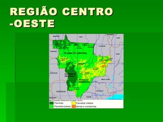 REGIÃO CENTRO -OESTE 
