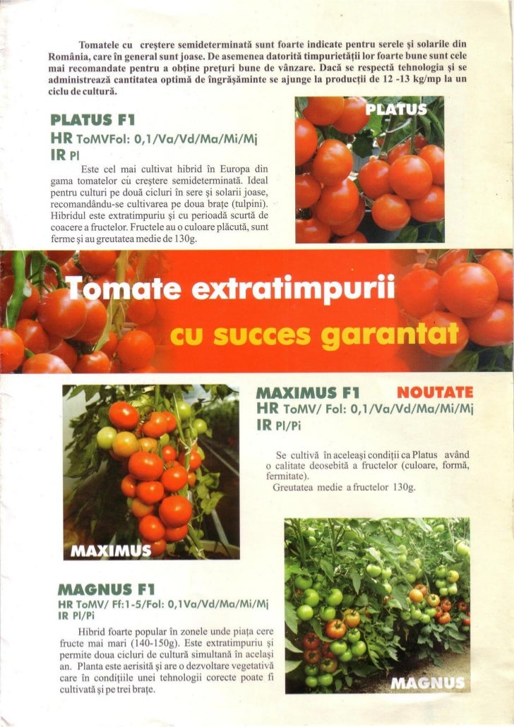 Rosii Tomate De Ruiters