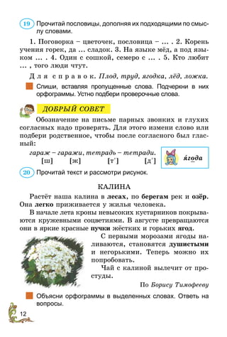 12
Прочитай пословицы, дополняя их подходящими по смыс-
лу словами.
1. Поговорка – цветочек, пословица – ... . 2. Корень
учения горек, да ... сладок. 3. На языке мёд, а под язы-
ком ... . 4. Один с сошкой, семеро с ... . 5. Кто любит
... , того люди чтут.
Д л я с п р а в о к. Плод, труд, ягодка, лёд, ложка.
		
Спиши, вставляя пропущенные слова. Подчеркни в них
орфо­
граммы. Устно подбери проверочные слова.
Обозначение на письме парных звонких и глухих
согласных надо проверять. Для этого измени слово или
подбери родственное, чтобы после согласного был глас-
ный:
гараж – гаражи, тетрадь – тетради.
[ш]	 [ж]	 [т¢]	 [д¢]
Прочитай текст и рассмотри рисунок.
КАЛИНА
Растёт наша калина в лесах, по берегам рек и озёр.
Она легко приживается у жилья человека.
В начале лета кроны невысоких кустарников покрыва-
ются кружевными соцветиями. В августе превращаются
они в яркие красные пучки жёстких и горьких ягод.
С первыми морозами ягоды на-
ливаются, становятся душистыми
и негорькими. Теперь можно их
попробовать.
Чай с калиной вылечит от про-
студы.
По Борису Тимофееву
		
Объясни орфограммы в выделенных словах. Ответь на
вопросы.
19
ДОБРЫЙ СОВЕТ
ягода
20
 
