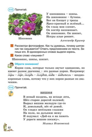 82
Прочитай.
У шиповника – шипы.
На шиповнике – бутоны.
Вот он блещет у тропы
Ярко-красный и зелёный...
Он глаза мои слепит,
Он костёр напоминает.
Он шиповник. Он шипит,
Искры алые роняет.
Александр Кушнер
	 Рассмотри фотографию. Как ты думаешь, почему шипов-
ник так называется? Ответь предложением из текста. За-
пиши его. В однокоренных словах выдели корень.
	 Какое слово «лишнее»?
Шиповник, шипы, шипит.
Обрати внимание!
Корни слов, которые только звучат одинаково, но
имеют разное значение – это разные корни. Например:
горы – горе, голубь – голубой, вода – водитель – неодно-
коренные слова, потому что у них корни разные по зна-
чению.
Прочитай.
ВИШНЯ
В ясный полдень, на исходе лета,
Шёл старик дорогой полевой;
Вырыл вишню молодую где-то
И, довольный, нёс её домой.
Он глядел весёлыми глазами
На поля, на дальнюю межу
И подумал: «Дай-ка я на память
У дороги вишню посажу».
Михаил Исаковский
153
Шиповник
154
 