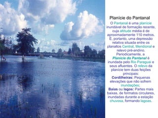 Planície do Pantanal   O  Pantanal  é uma  planície  inundável de formação recente, cuja  altitude  média é de aproximadamente 110 metros. É, portanto, uma depressão relativa situada entre os planaltos  Central ,  Meridional  e relevo pré-andino. Periodicamente, a  Planície do Pantanal  é inundada pelo  Rio Paraguai  e seus afluentes. O  relevo  da planície tem duas feições principais: Cordilheiras:  Pequenas elevações que não sofrem  inundações ;  Baías  ou  lagos:  Partes mais baixas, de formatos circulares, inundadas durante a estação  chuvosa , formando  lagoas . 