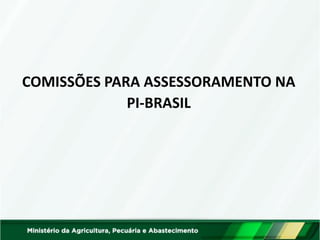 COMISSÕES PARA ASSESSORAMENTO NA 
PI-BRASIL  