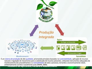 Produção Integrada 
É um sistema de produção de alta qualidade, priorizando princípios baseados na sustentabilidade, aplicação de recursos naturais e regulação de mecanismos para a substituição de insumos poluentes, utilizando instrumentos adequados de monitoramento dos procedimentos e a rastreabilidade de todo o processo, tornando-o economicamente viável, ambientalmente correto e socialmente justo (MAPA, 2004).  