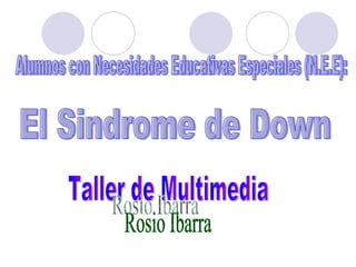 El Sindrome de Down Alumnos con Necesidades Educativas Especiales (N.E.E): Taller de Multimedia Rosio Ibarra 