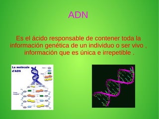 ADN

   Es el ácido responsable de contener toda la
información genética de un individuo o ser vivo ,
     información que es única e irrepetible .
 