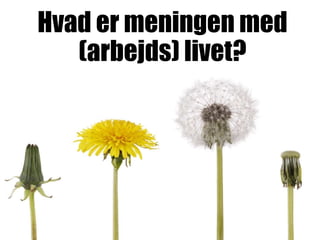 Hvad er meningen med
(arbejds) livet?
 