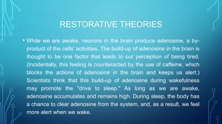 RESTORATIVE THEORIES
• While we are awake, neurons in the brain produce adenosine, a by-
product of the cells' activities. The build-up of adenosine in the brain is
thought to be one factor that leads to our perception of being tired.
(Incidentally, this feeling is counteracted by the use of caffeine, which
blocks the actions of adenosine in the brain and keeps us alert.)
Scientists think that this build-up of adenosine during wakefulness
may promote the "drive to sleep." As long as we are awake,
adenosine accumulates and remains high. During sleep, the body has
a chance to clear adenosine from the system, and, as a result, we feel
more alert when we wake.
 