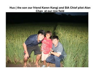 Hux ( the son our friend Karen Kang) and SIA Chief pilot Alan Chan  at our rice field