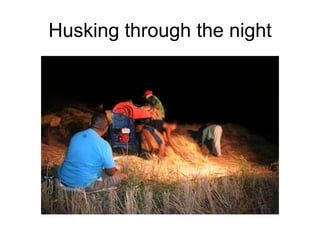 Husking through the night