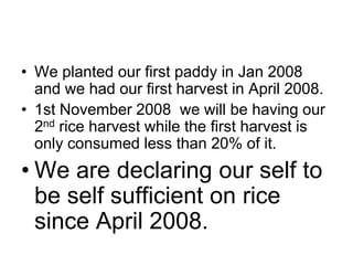 We planted our first paddy in Jan 2008 and we had our first harvest in April 2008. 1st November 2008  we will be having our 2nd rice harvest while the first harvest is only consumed less than 20% of it.We are declaring our self to be self sufficient on rice since April 2008.