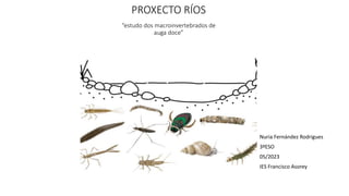 PROXECTO RÍOS
Nuria Fernández Rodrigues
3ºESO
05/2023
IES Francisco Asorey
“estudo dos macroinvertebrados de
auga doce”
 