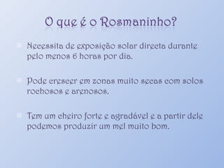 Necessita de exposição solar directa durante pelo menos 6 horas por dia. Pode crescer em zonas muito secas com solos rochosos e arenosos. Tem um cheiro forte e agradável e a partir dele podemos produzir um mel muito bom. 