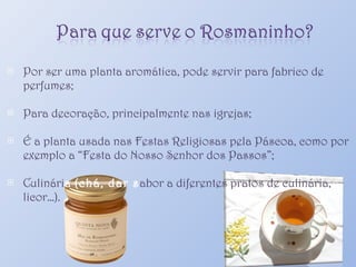 Por ser uma planta aromática, pode servir para fabrico de perfumes; Para decoração, principalmente nas igrejas; É a planta usada nas Festas Religiosas pela Páscoa, como por exemplo a “Festa do Nosso Senhor dos Passos”; Culinári a   (chá, dar s abor a diferentes pratos de culinária, licor…). 