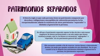 Si bien la regla es que cada persona tiene un patrimonio compuesto por
derechos y obligaciones susceptibles de valoración pecuniaria, la ley
excepcionalmente admite la existencia de otros patrimonios “separados” o
distintos al general de la persona.
Ello encuentra sentido a fin de reservar ciertos bienes a determinado
destino, de modo que queden excluidos de otra finalidad . Por lo que
cuando la ley lo dispone hay patrimonios distintos al general de la
persona, los patrimonios separados
De allí que el patrimonio separado supone la idea de dos o más masas
singulares de bienes pertenecientes a un solo sujeto que tienen
existencia propia, esto es, los bienes se encuentran “segregados” o
“separados” de ese patrimonio general del sujeto.
 