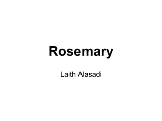 Rosemary
Laith Alasadi
 