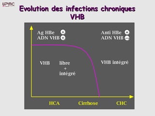 Evolution des infections chroniques
                VHB

     Ag HBe  +                   Anti HBe +
     ADN VHB +                   ADN VHB —




      VHB   libre                VHB intégré
               +
            intégré




         HCA          Cirrhose         CHC
 