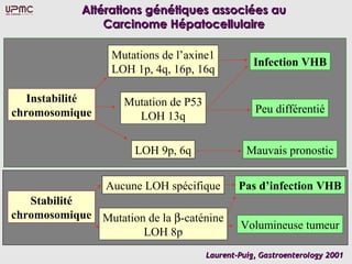 Altérations génétiques associées au
                Carcinome Hépatocellulaire

                  Mutations de l’axine1
                                                  Infection VHB
                  LOH 1p, 4q, 16p, 16q

   Instabilité      Mutation de P53
chromosomique                                     Peu différentié
                      LOH 13q

                      LOH 9p, 6q                Mauvais pronostic


                 Aucune LOH spécifique        Pas d’infection VHB
   Stabilité
chromosomique Mutation de la β-caténine
                                              Volumineuse tumeur
                      LOH 8p
                                      Laurent-Puig, Gastroenterology 2001
 