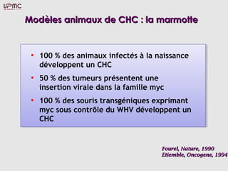 Modèles animaux de CHC : la marmotte



 • 100 % des animaux infectés à la naissance
   développent un CHC
 • 50 % des tumeurs présentent une
   insertion virale dans la famille myc
 • 100 % des souris transgéniques exprimant
   myc sous contrôle du WHV développent un
   CHC


                                      Fourel, Nature, 1990
                                      Etiemble, Oncogene, 1994
 