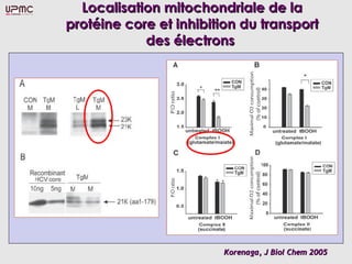 Localisation mitochondriale de la
protéine core et inhibition du transport
            des électrons




                        Korenaga, J Biol Chem 2005
 