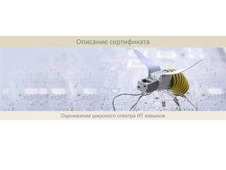 Описание сертификата




Оценивание широкого спектра ИТ навыков
 