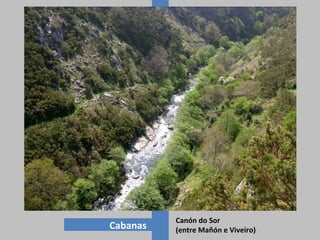 Cabanas
Canón do Sor
(entre Mañón e Viveiro)
 