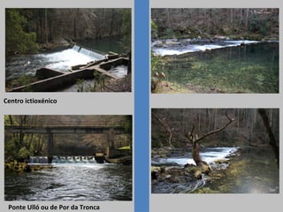 Centro ictioxénico
Ponte Ulló ou de Por da Tronca
 