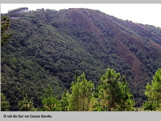O val do Sor no Couce Gordo.
 