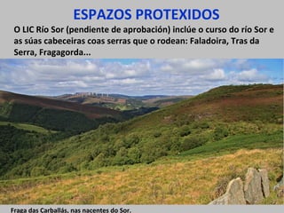 ESPAZOS PROTEXIDOS
O LIC Río Sor (pendiente de aprobación) inclúe o curso do río Sor e
as súas cabeceiras coas serras que o rodean: Faladoira, Tras da
Serra, Fragagorda...
Fraga das Carballás, nas nacentes do Sor.
 