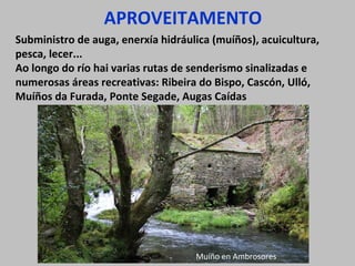 APROVEITAMENTO
Subministro de auga, enerxía hidráulica (muíños), acuicultura,
pesca, lecer...
Ao longo do río hai varias rutas de senderismo sinalizadas e
numerosas áreas recreativas: Ribeira do Bispo, Cascón, Ulló,
Muíños da Furada, Ponte Segade, Augas Caídas
Muíño en Ambrosores
 