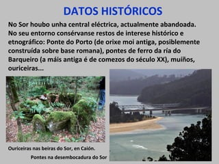 DATOS HISTÓRICOS
No Sor houbo unha central eléctrica, actualmente abandoada.
No seu entorno consérvanse restos de interese histórico e
etnográfico: Ponte do Porto (de orixe moi antiga, posiblemente
construída sobre base romana), pontes de ferro da ría do
Barqueiro (a máis antiga é de comezos do século XX), muíños,
ouriceiras...
Pontes na desembocadura do Sor
Ouriceiras nas beiras do Sor, en Caión.
 